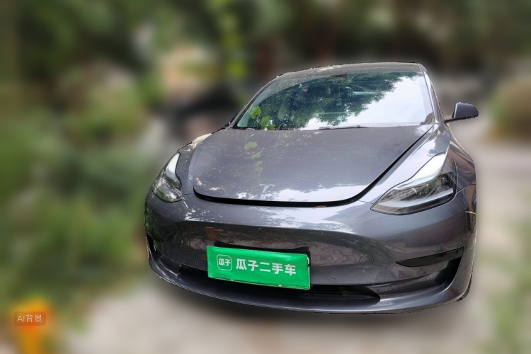 Tesla Model 3 2023 #3 Tesla Model 3 2023 car image #3