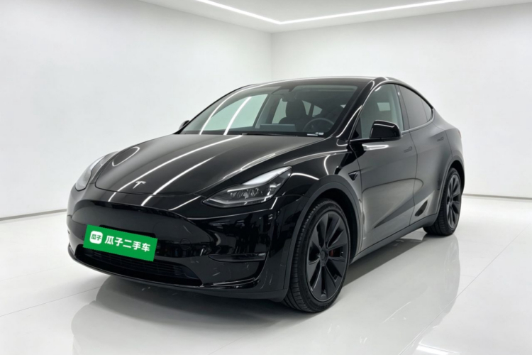 Tesla Model Y 2021 #2 Tesla Model Y 2021 car image #2