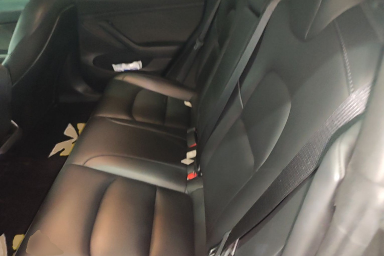 Tesla Model 3 2023 #13 Tesla Model 3 2023 car image #13