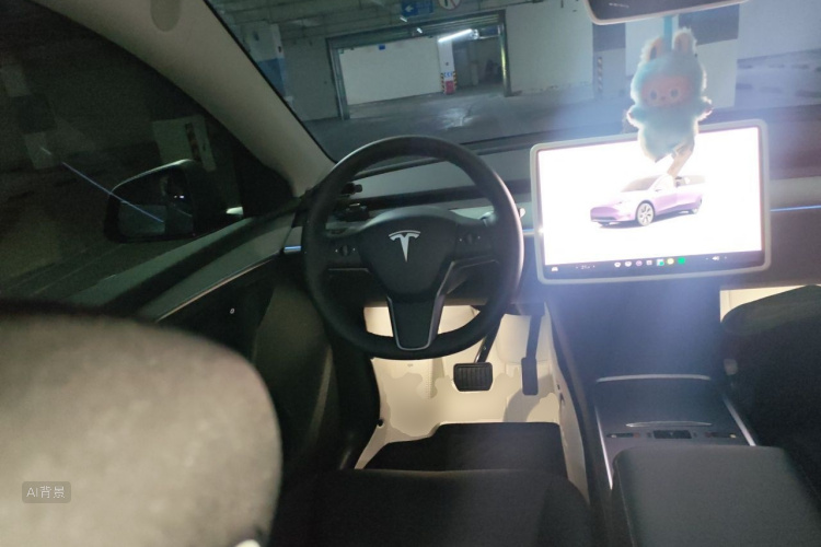 Tesla Model Y 2023 #12 Tesla Model Y 2023 صورة سيارة #12