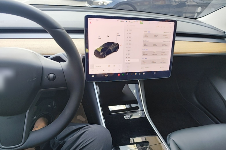 Tesla Model 3 2020 #10 Tesla Model 3 2020 car image #10