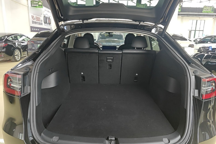 Tesla Model Y 2022 car image #19