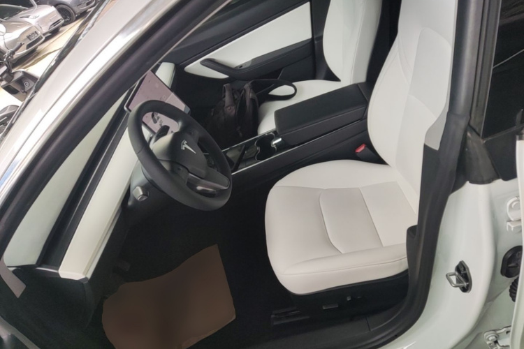 Tesla Model 3 2020 car image #15
