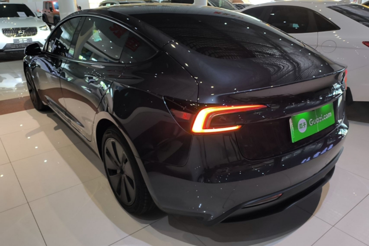 Tesla Model 3 2025 #5 Tesla Model 3 2025 car image #5