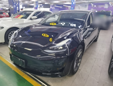 Tesla Model 3 2023 car image 