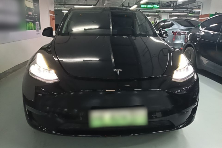 Tesla Model Y 2021 #3 Tesla Model Y 2021 car image #3