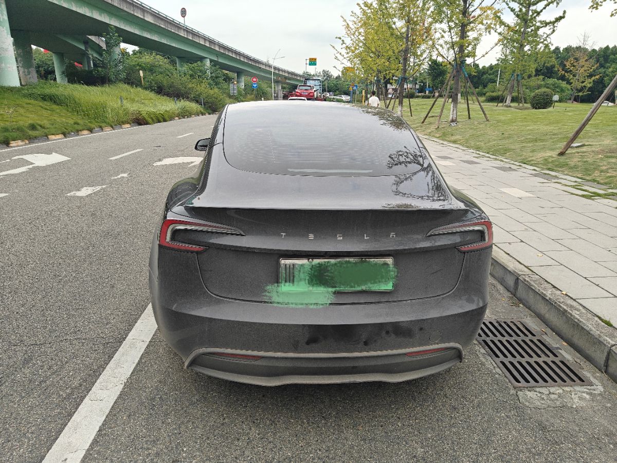 Tesla Model 3 2024 car image #7