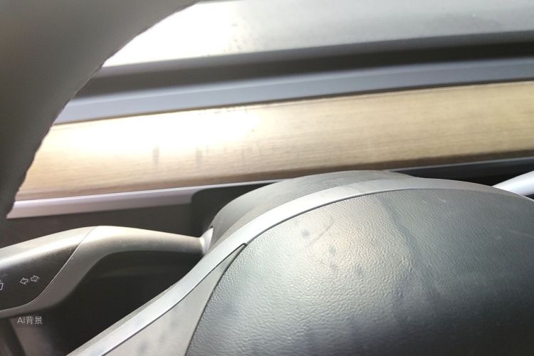 Tesla Model 3 2022 car image #13