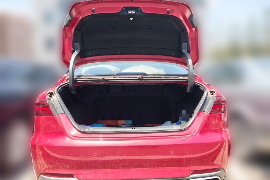 GEELY Binray 2019 car image #8