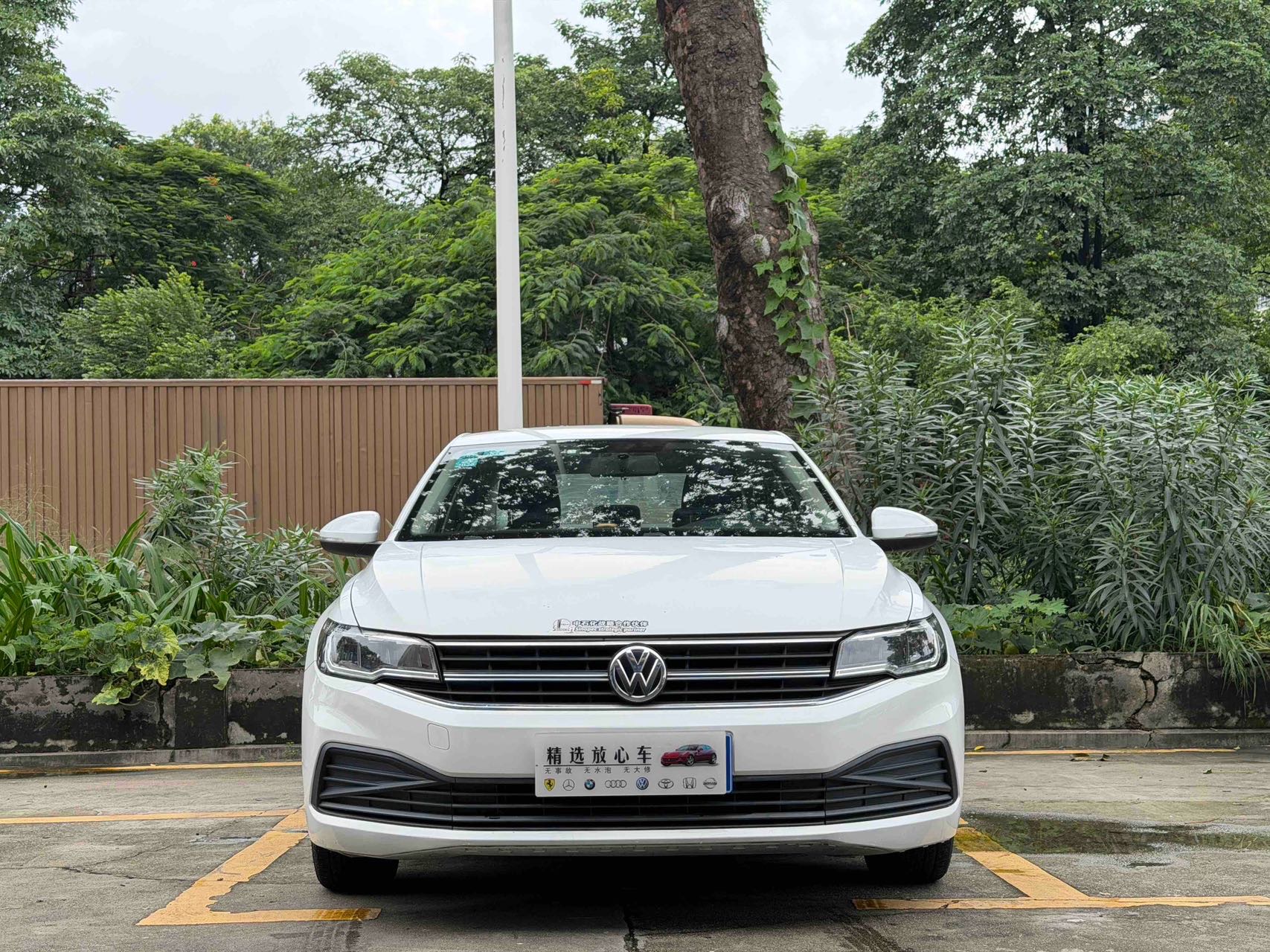 Volkswagen Bora 2019 car image #2