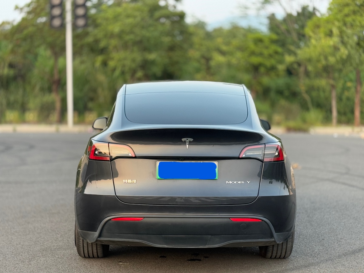 Tesla Model Y 2024 #4 Tesla Model Y 2024 car image #4