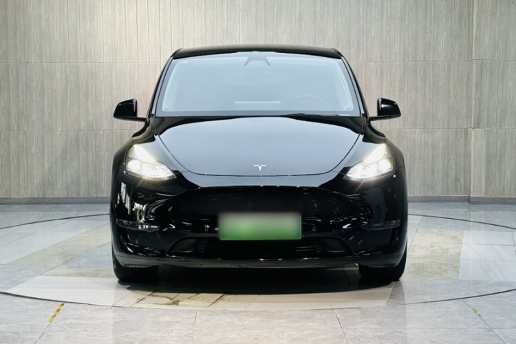 Tesla Model Y 2021 #8 Tesla Model Y 2021 صورة سيارة #8
