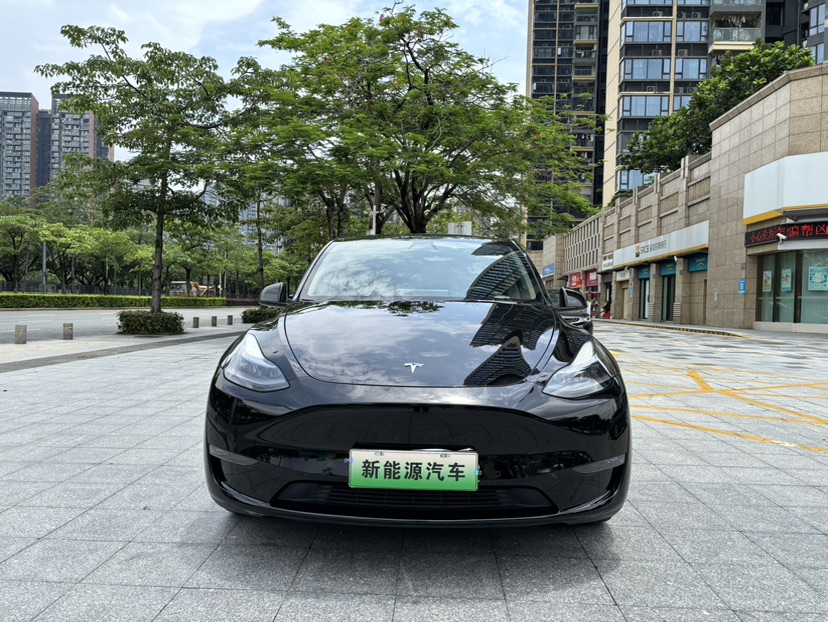 Tesla Model Y 2021 #2 Tesla Model Y 2021 car image #2