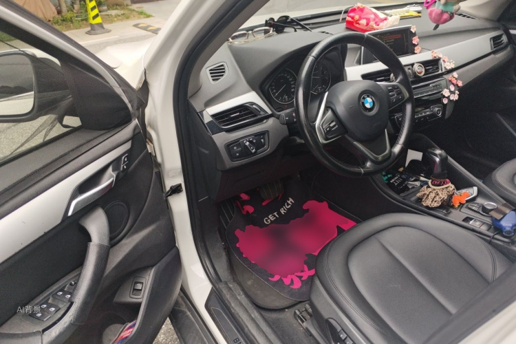 BMW X1 2017 car image #18