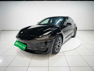 Tesla Model 3 2023 Tesla Model 3 2023 car image