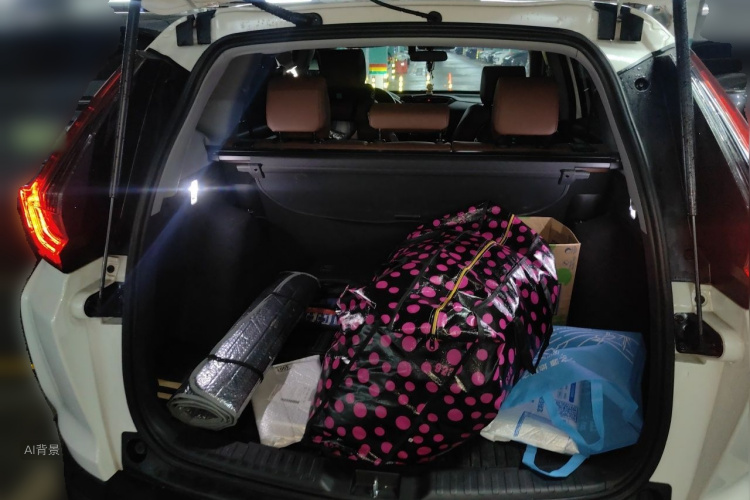 Honda CR-V 2021 car image #21