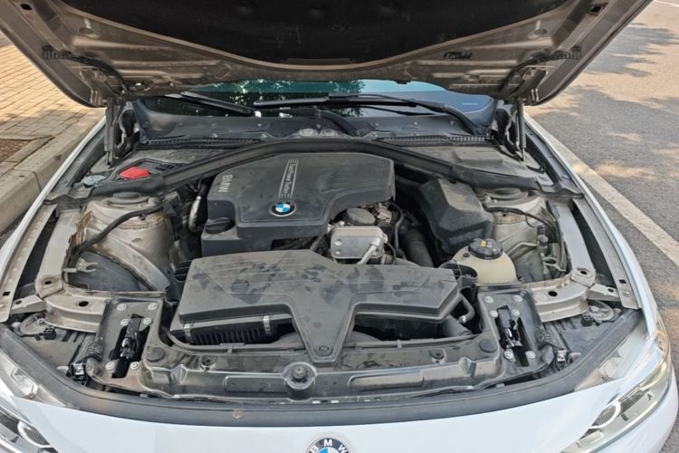 BMW 3 Series 2016 car image #20