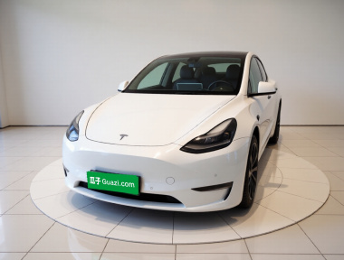 Tesla Model Y 2021 Tesla Model Y 2021 car image
