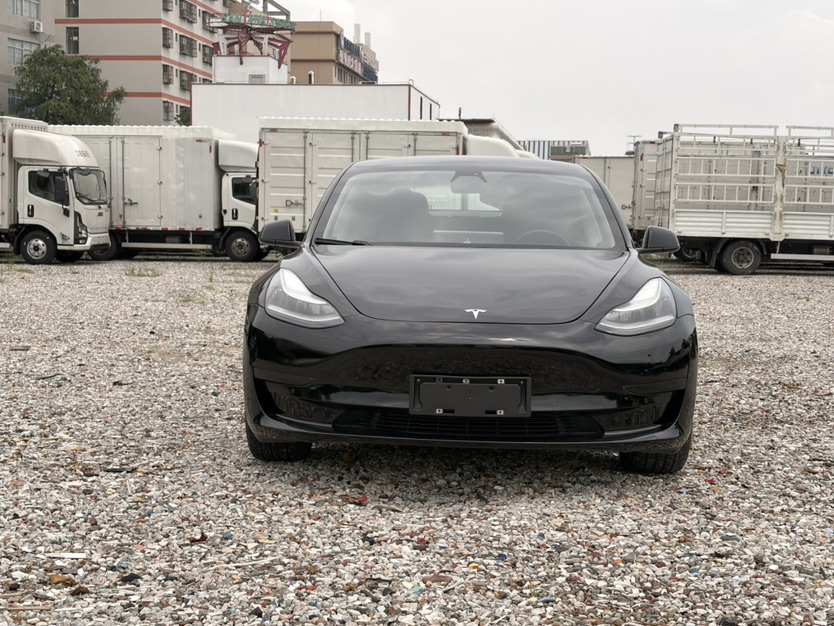 Tesla Model 3 2020 car image #2