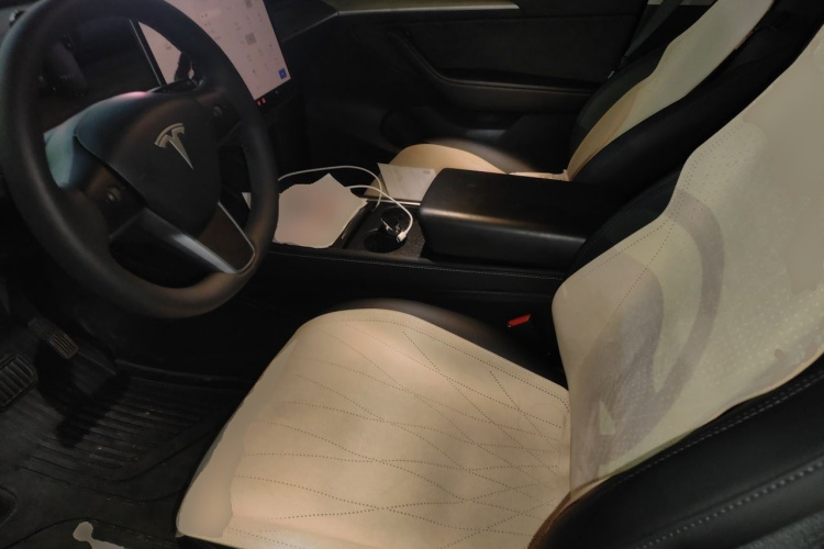 Tesla Model Y 2022 car image #15