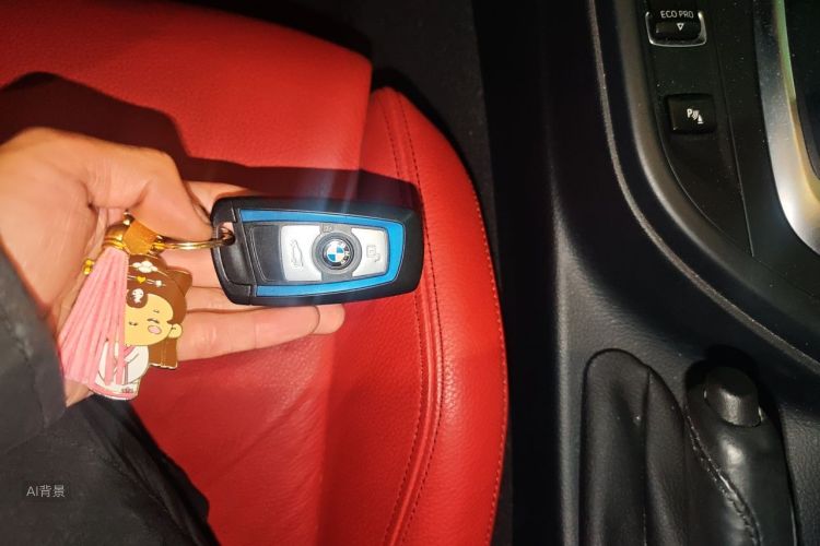 BMW 3 Series 2019 car image #10