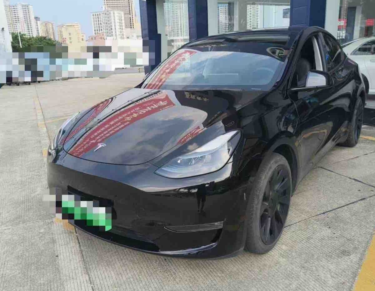 Tesla Model Y 2021 Tesla Model Y 2021 car image