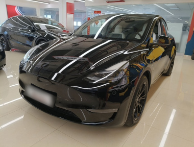Tesla Model Y 2021 Tesla Model Y 2021 car image