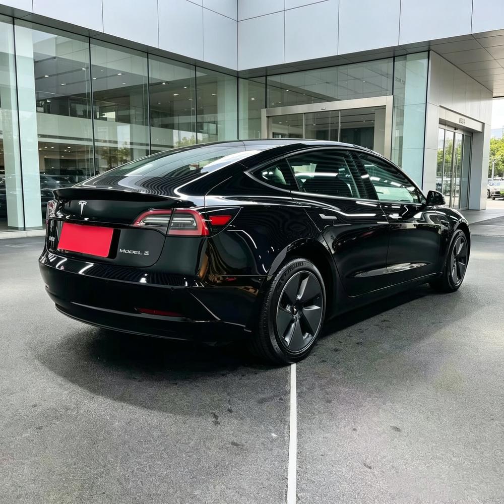 Tesla Model 3 2023 immagine di auto #6