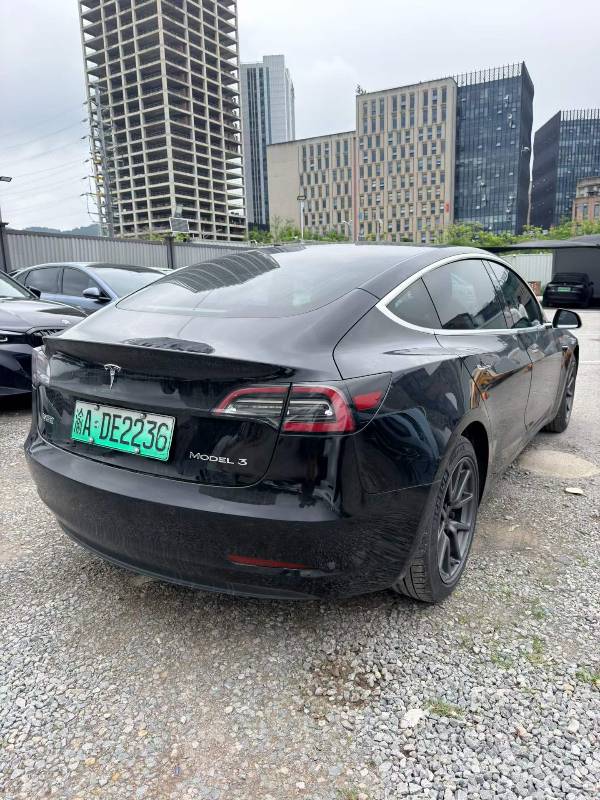 Tesla Model 3 2020 #3 Tesla Model 3 2020 car image #3