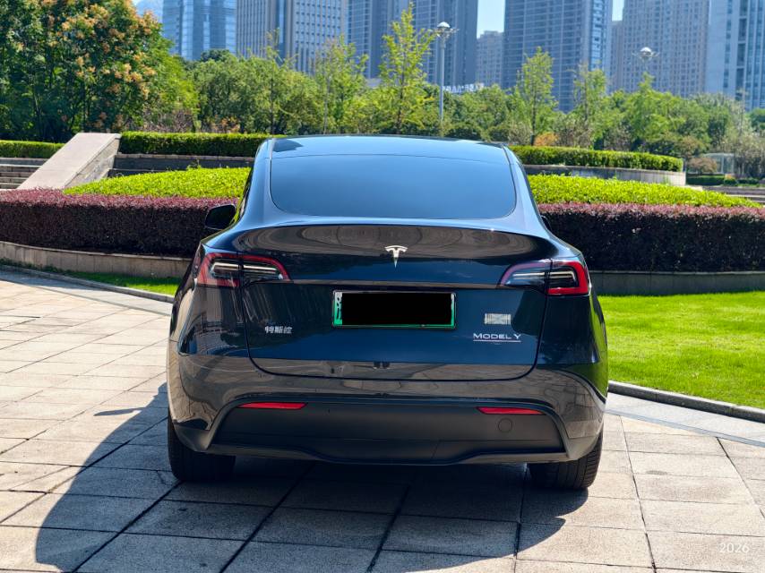 Tesla Model Y 2024 imagen de coche #13