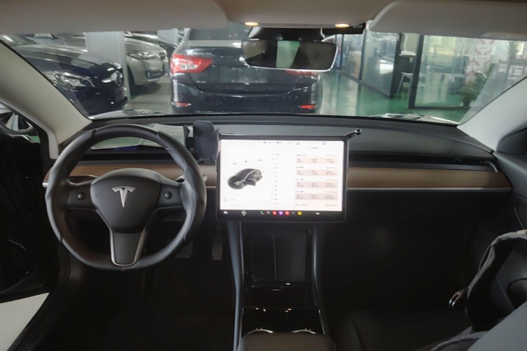 Tesla Model 3 2020 car image #10