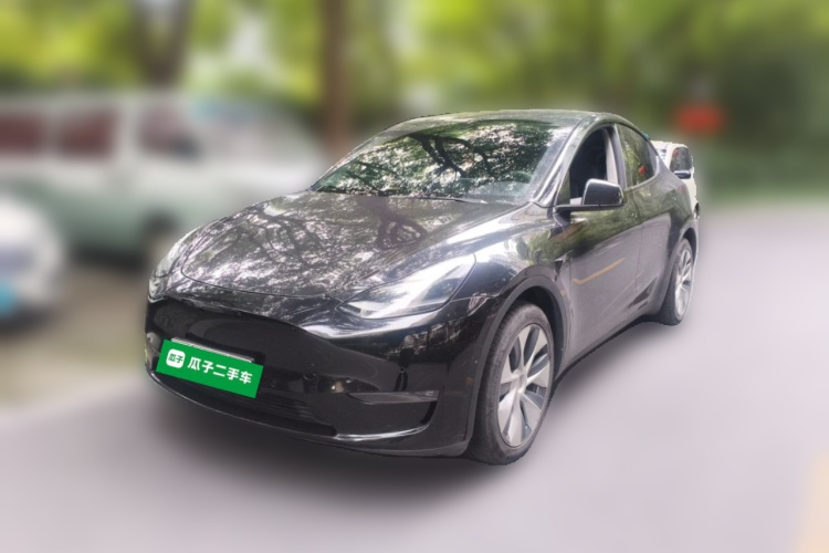 Tesla Model Y 2021 #2 Tesla Model Y 2021 car image #2