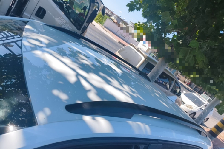 Volkswagen Tacqua 2023 immagine di auto #25