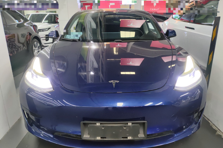 Tesla Model 3 2021 #3 Tesla Model 3 2021 car image #3