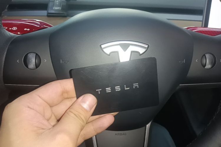 Tesla Model 3 2021 immagine di auto #9