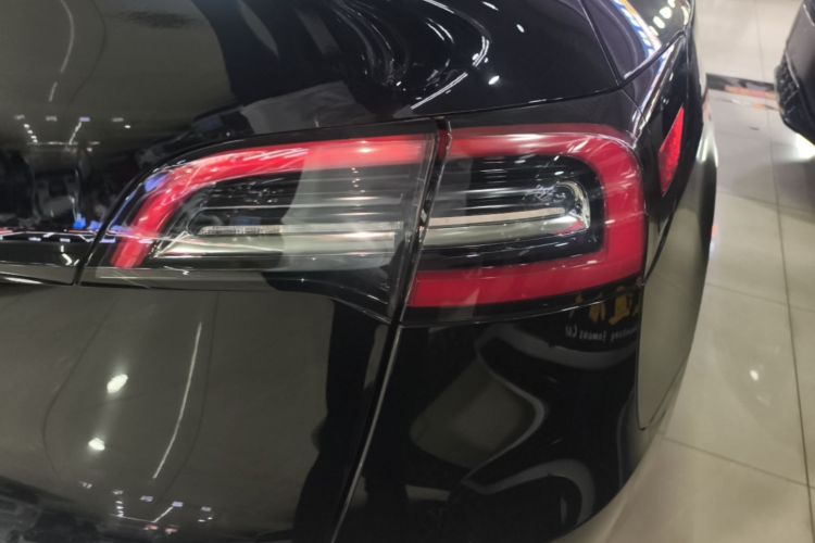 Tesla Model Y 2021 #8 Tesla Model Y 2021 car image #8