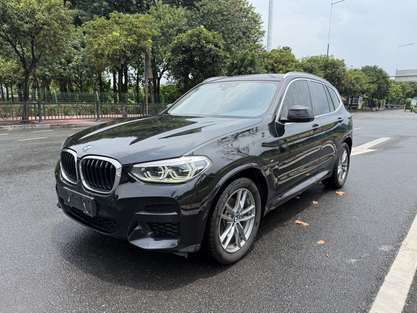 BMW X3 2020 BMW X3 2020 car image