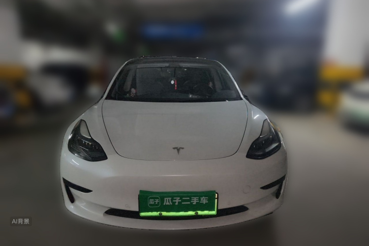 Tesla Model 3 2021 #3 Tesla Model 3 2021 car image #3