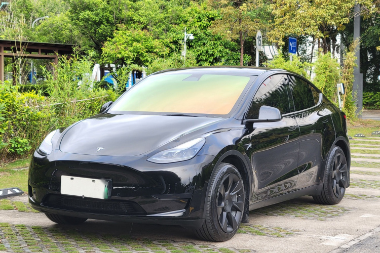Tesla Model Y 2023 car image #2