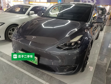 Tesla Model Y 2021 Tesla Model Y 2021 car image