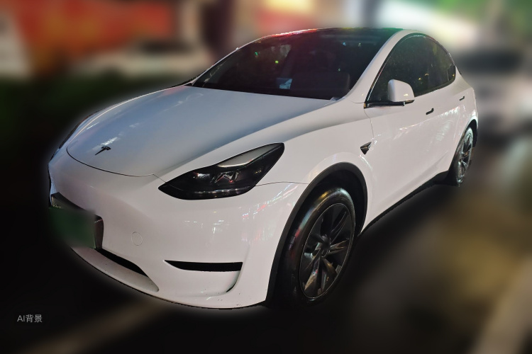 Tesla Model Y 2023 #2 Tesla Model Y 2023 car image #2