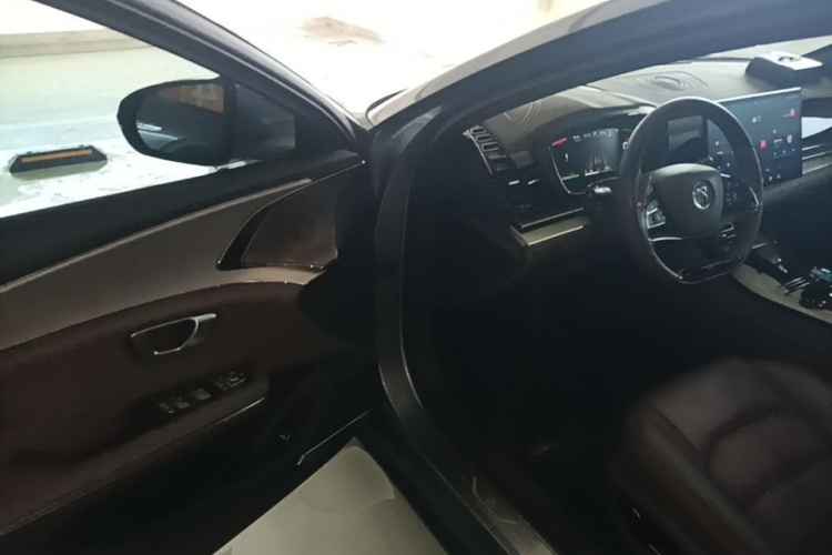 BYD Han 2022 imagen de coche #12