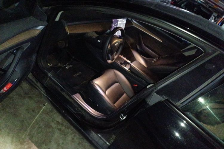 Tesla Model 3 2021 #9 Tesla Model 3 2021 immagine di auto #9