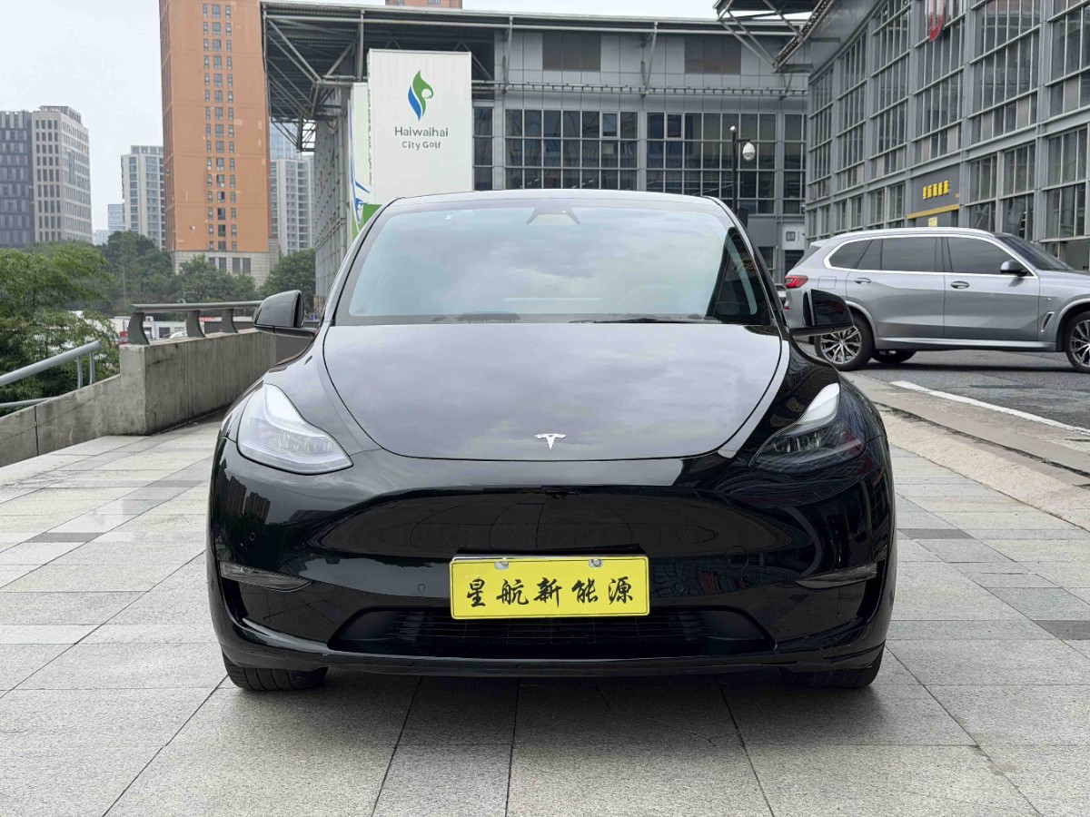 Tesla Model Y 2021 #2 Tesla Model Y 2021 car image #2