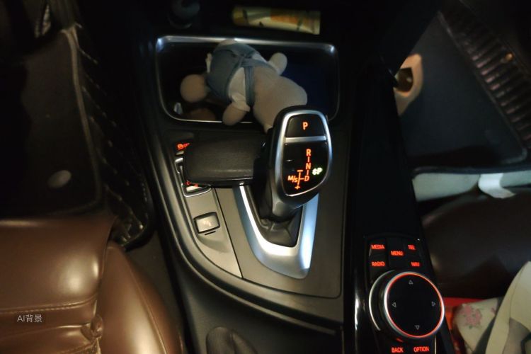 BMW 3 Series 2015 car image #16