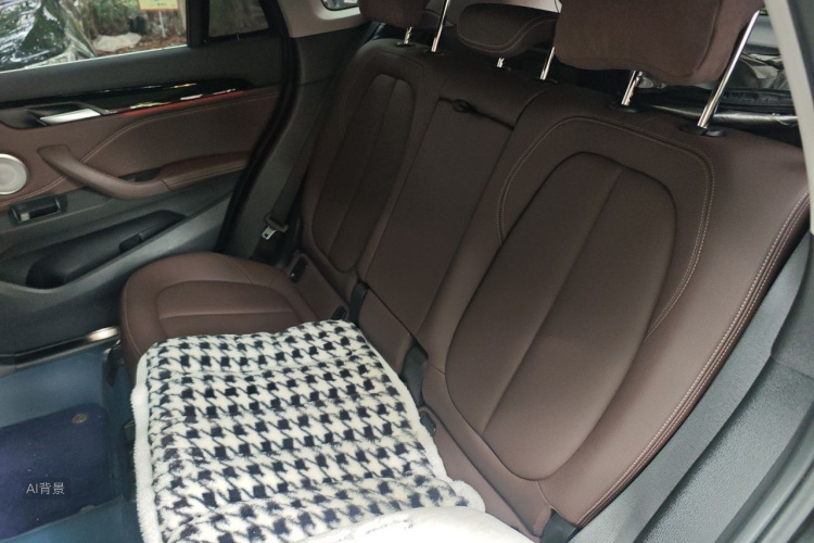 BMW X1 2021 car image #19