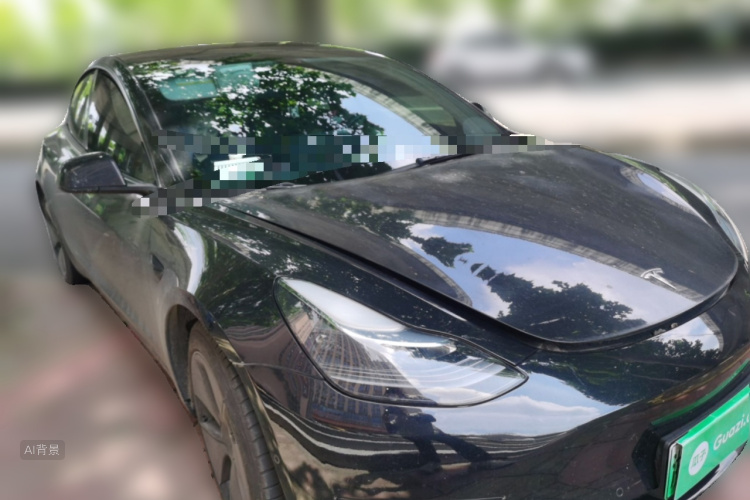 Tesla Model 3 2022 car image #4