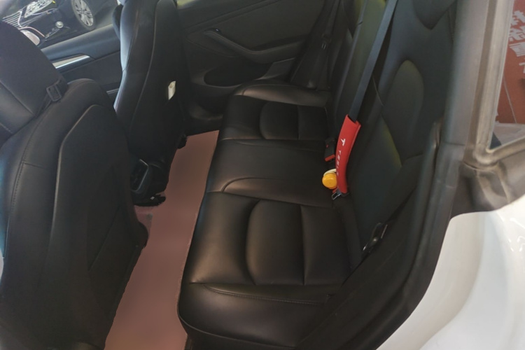 Tesla Model 3 2021 car image #13