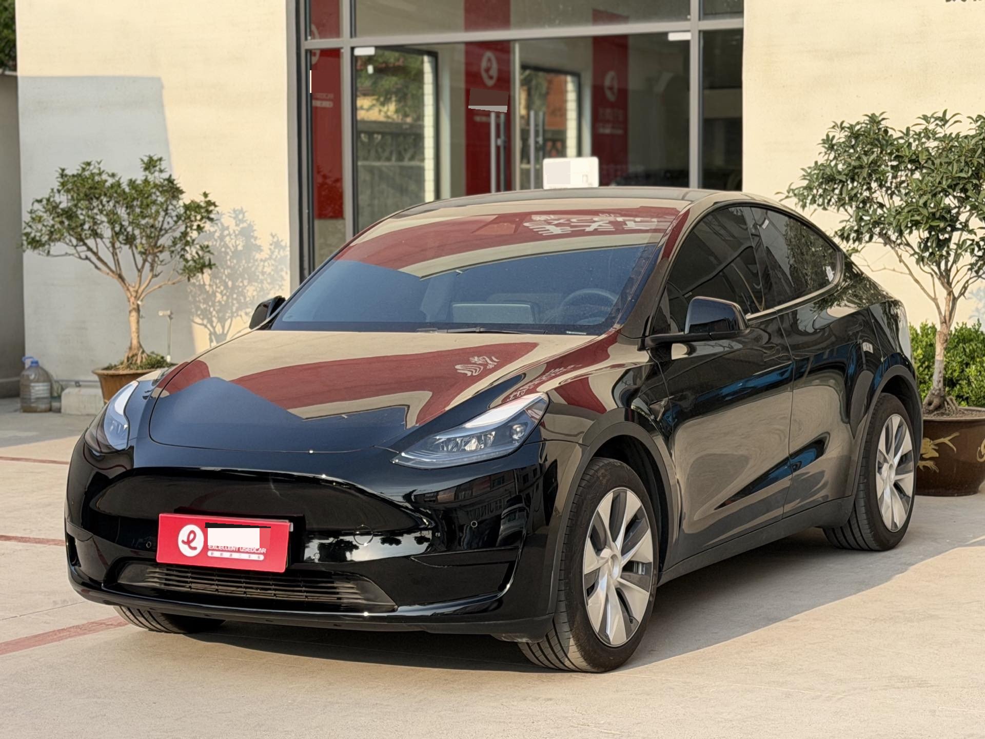 Tesla Model Y 2023 Tesla Model Y 2023 car image