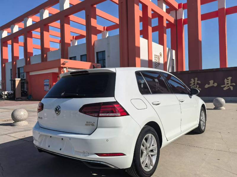 Volkswagen Golf 2019 #4 Volkswagen Golf 2019 car image #4